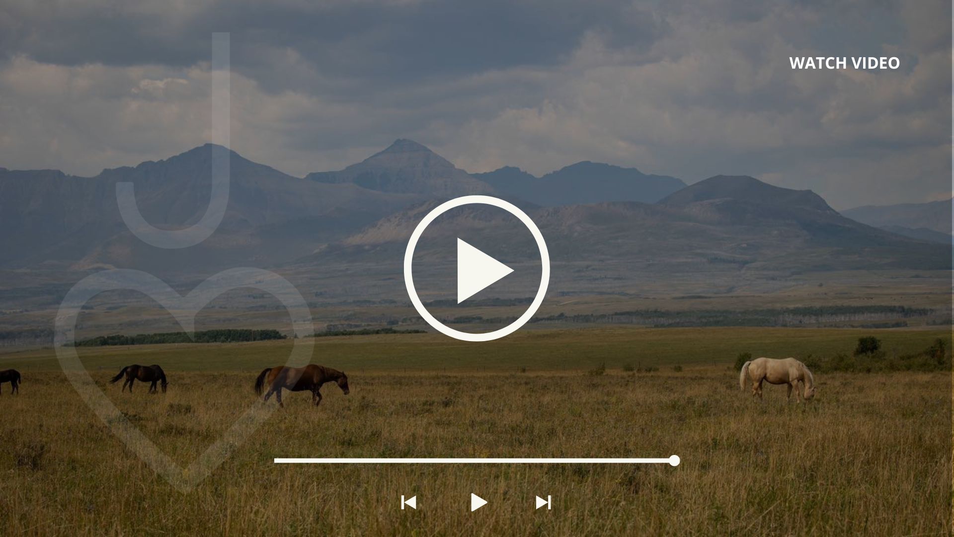 Watch Video