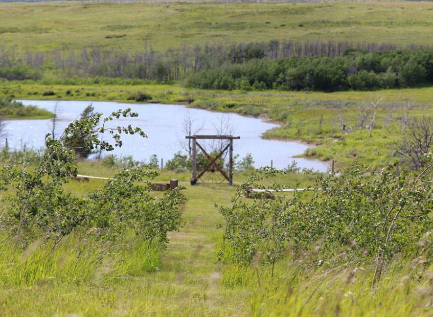 7 A wedding on a ranch