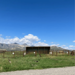 Horse pens in front of the Rocking Mountains at the Rocking Heart Ranch